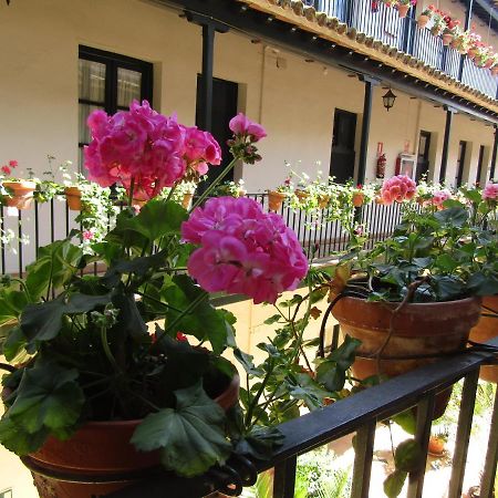 Apartamento Alameda Appartamento Siviglia Esterno foto
